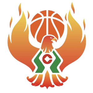 https://img.lloydbr.com/img/basketball/team/09b49d34027e0409a4de3295f8c71a2d.png